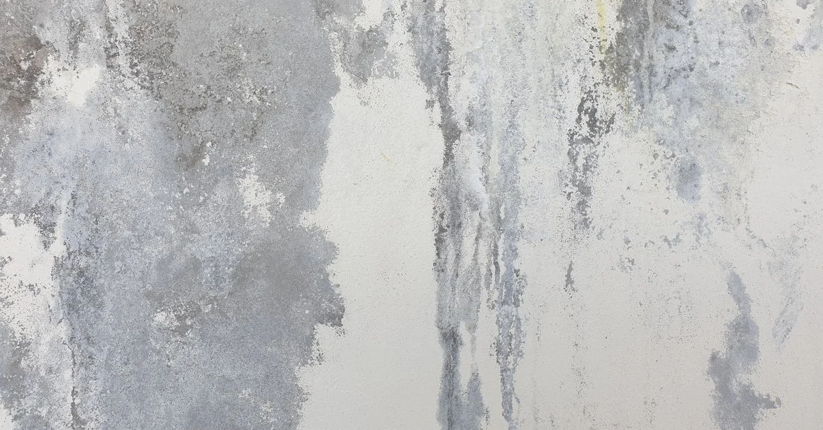 Primer plano de una pared de hormigón texturizada con patrones desgastados y tonos grises.