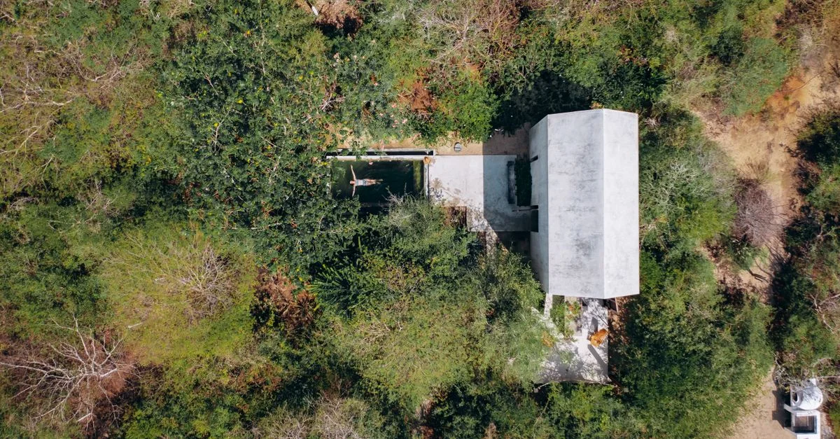 Vista aérea de una casa rodeada de un frondoso bosque, que muestra una fusión perfecta con la naturaleza.